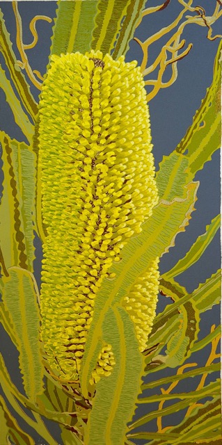 Banksia attenuata (lino 55 x 28cm)