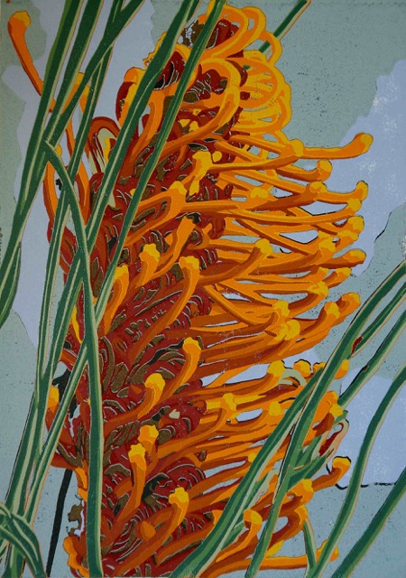 Orange Grevillea (lino 50 x 36cm)