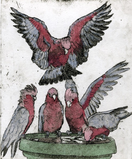 Birds on a Bowl (etching 15x12cm)