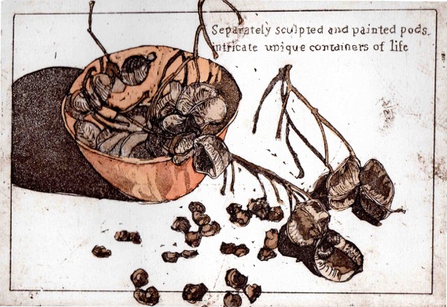 Seeds and Pods (etching 14x19cm)